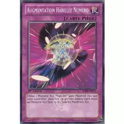 Augmentation Habillée Numéro
