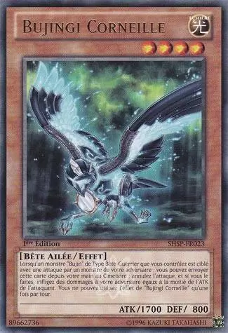 Spectres de l\'Ombre SHSP - Bujingi Corneille