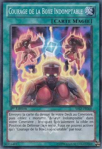 Spectres de l\'Ombre SHSP - Courage de la Boxe Indomptable