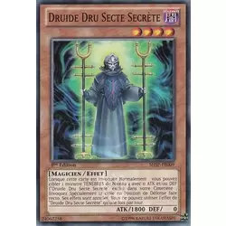 Druide Dru Secte Secrète