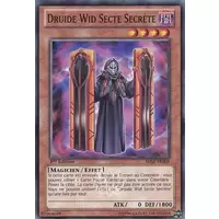 Druide Wid Secte Secrète