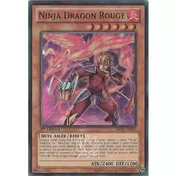 Ninja Dragon Rouge