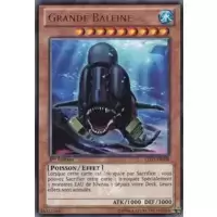 Grande Baleine