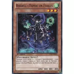 Risebell l'Expert en Étoiles