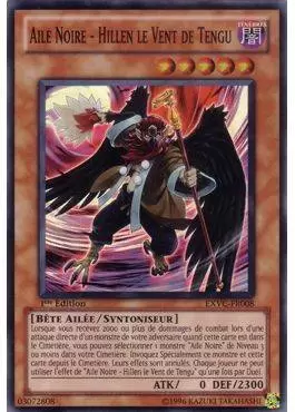 Victoire Absolue EXVC - Aile Noire - Hillen le Vent de Tengu