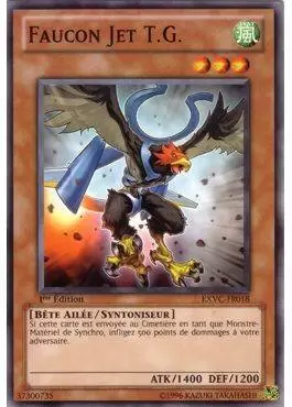 Victoire Absolue EXVC - Faucon Jet T.G.