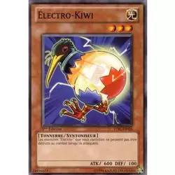 Électro-Kiwi
