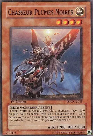 Les Ténèbres Scintillantes TSHD - Chasseur Plumes Noires