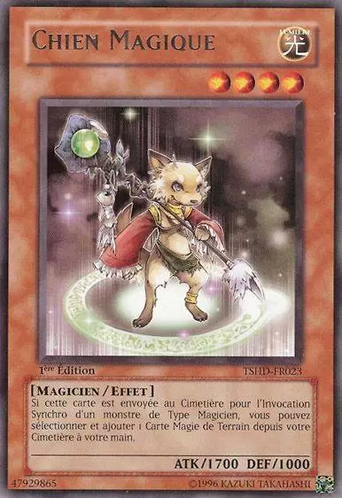 Les Ténèbres Scintillantes TSHD - Chien Magique