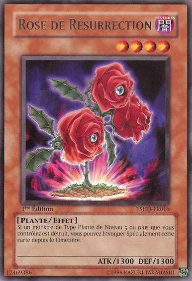 Les Ténèbres Scintillantes TSHD - Rose de Résurrection