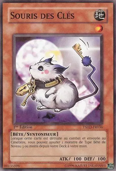 Les Ténèbres Scintillantes TSHD - Souris des Clés