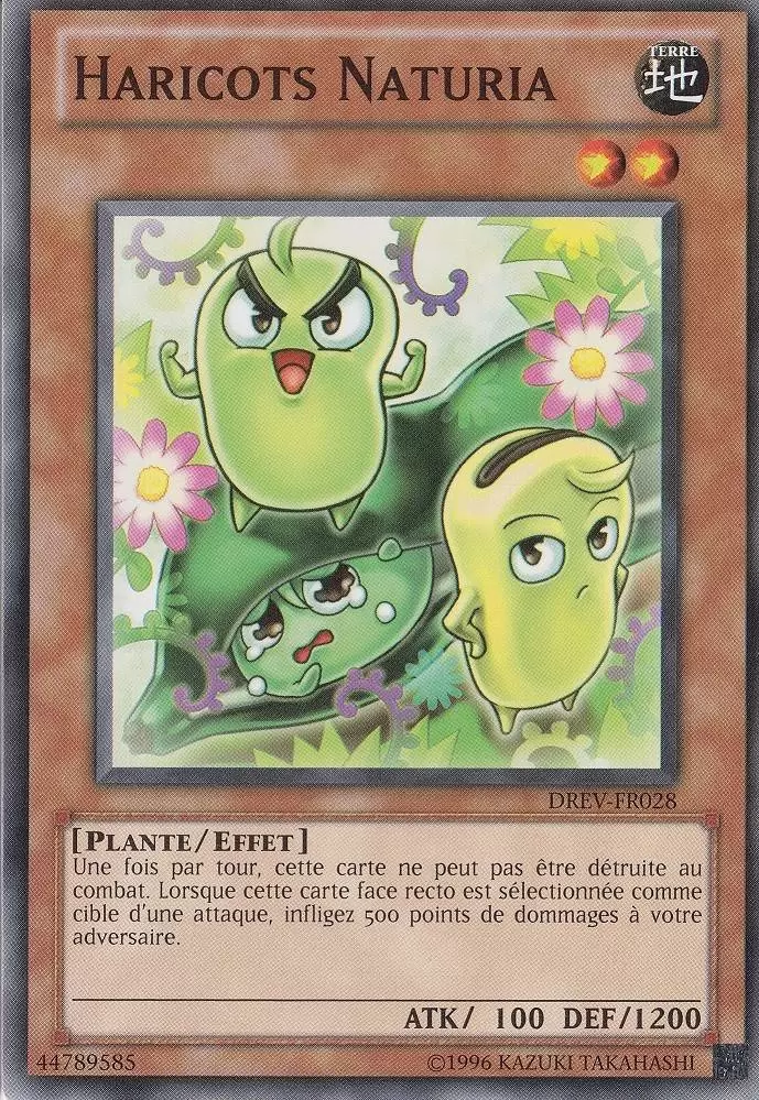 Révolution des Duellistes DREV - Haricots Naturia