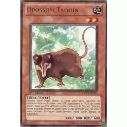 Opossum Taquin