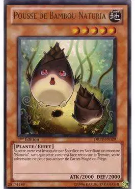 Révolution des Duellistes DREV - Pousse de Bambou Naturia