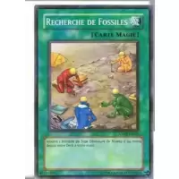 Recherche de Fossiles