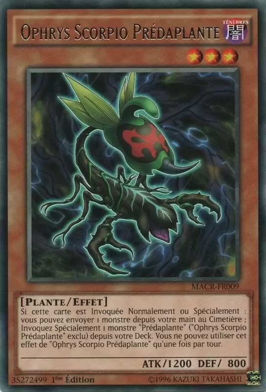 La Crise Maximale MACR - Ophrys Scorpio Prédaplante