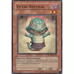 Vipère Reptilia