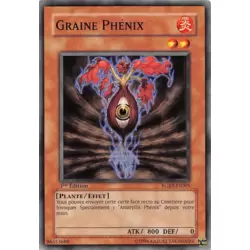 Graine Phénix
