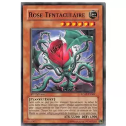 Rose Tentaculaire