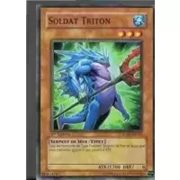 Soldat Triton