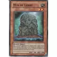 Mur de Lierre