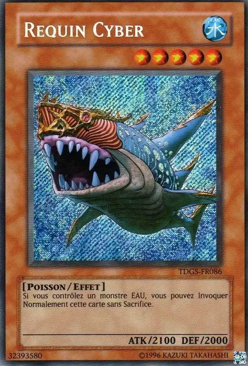 La Genèse du Duelliste TDGS - Requin Cyber