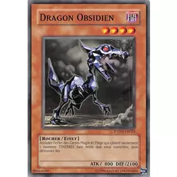 Dragon Obsidien