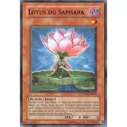 Lotus du Samsara