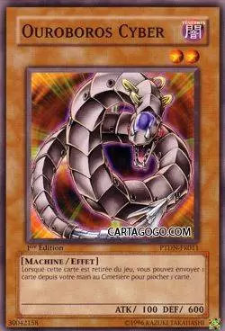 Ténèbres Fantômes PTDN - Ouroboros Cyber