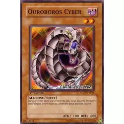 Ouroboros Cyber