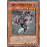 Velociraptor Noir