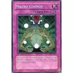 Macro Cosmos