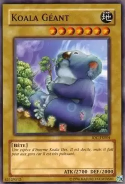 L\'Invasion des Ténèbres IOC - Koala Géant