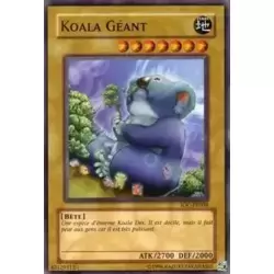 Koala Géant
