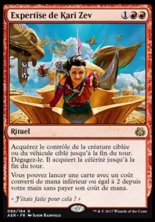 La Révolte Éthérique - Expertise de Kari Zev