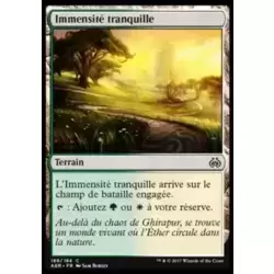Immensité tranquille