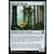 Kaladesh - Cobra de Narnam