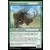 Rhinocéros prospère