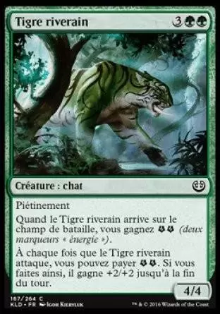 Kaladesh - Tigre riverain