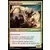 Amonkhet - Aurige khenra
