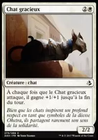 Amonkhet - Chat gracieux