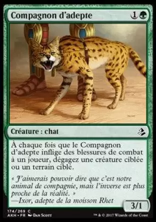 Amonkhet - Compagnon d’adepte