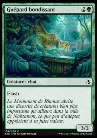 Amonkhet - Guépard bondissant