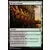 Amonkhet - Verger infâme
