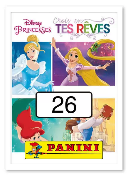 Disney Princesse : Crois en tes rêves - Image n°26
