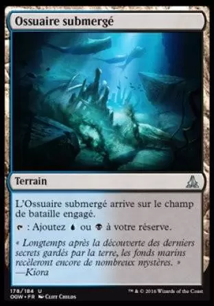Le Serment des Sentinelles - Ossuaire submergé