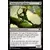 Magic Origines - Archer à l\'arc épineux
