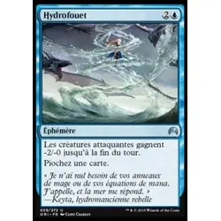 Hydrofouet