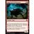 Ténèbres sur Innistrad - Loup de la hurlemeute
