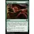 Ténèbres sur Innistrad - Morsure enragée